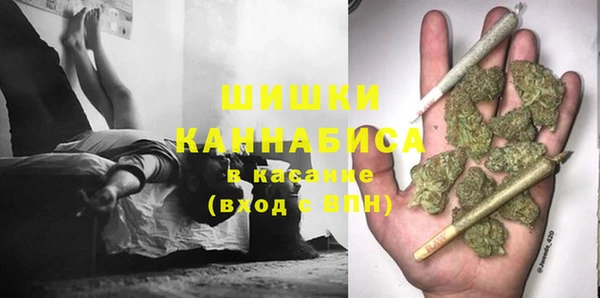 стаф Алзамай