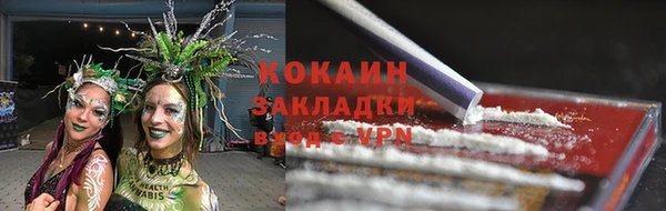 стаф Алзамай