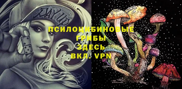 дурь Алексеевка