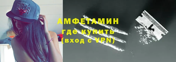 индика Абаза