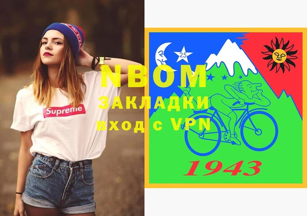 стаф Алзамай