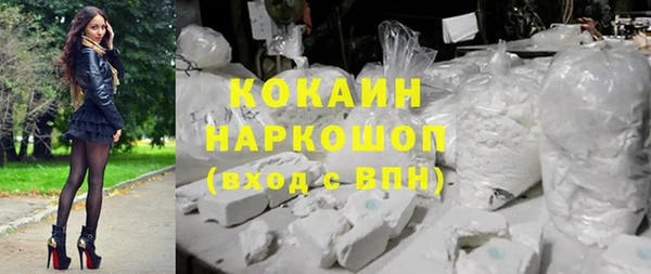 стаф Алзамай